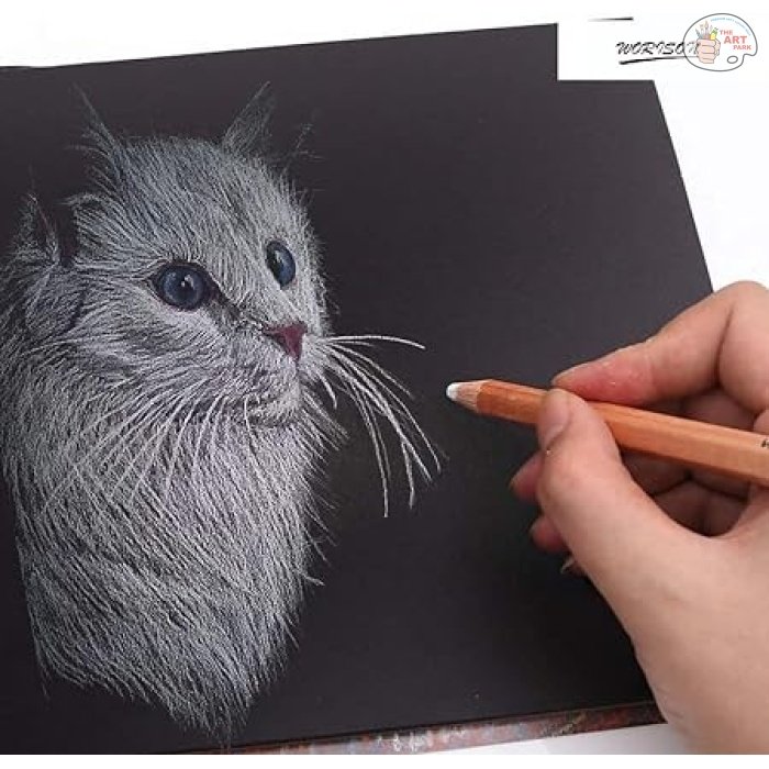 WORISON WHITE CHARCOAL PENCILS 2PCS SET - Image 3