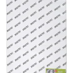 Brustro Artists' Drawing Paper 200 gsm A2 size (20 sheets)