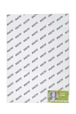 Brustro Artists' Drawing Paper 200 gsm A2 size (20 sheets)
