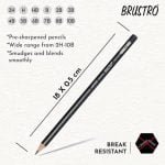 BRUSTRO Artists Fineart Graphite Pencil Set of 12 (10B-2H) with Elegant Tin Box - Image 7