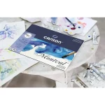 Canson Montval Watercolour 300 GSM Cold Pressed 14.5X18.1 INCH(37CMX46CM) Paper Sheets