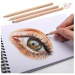 WORISON SKIN COLOUR PENCILS SET OF 12 - Image 4