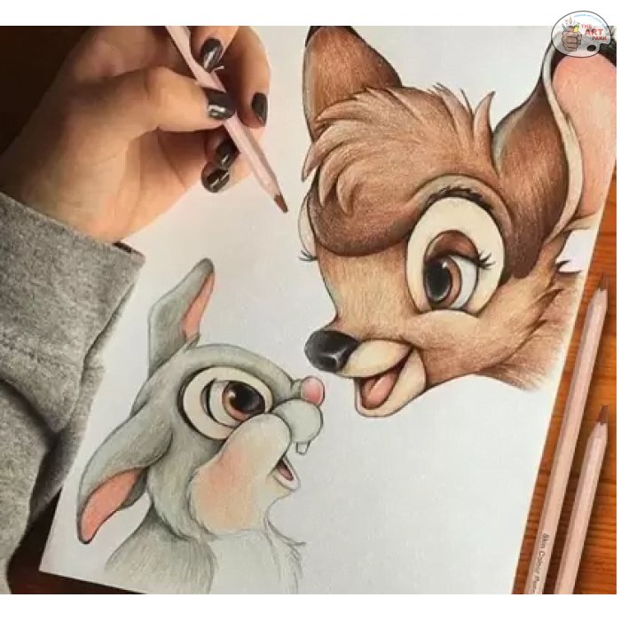 WORISON SKIN COLOUR PENCILS SET OF 12 - Image 5