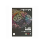 Anupam Pupil Watercolour Black Toned A3 SIZE Loose Sheets OF 5 - 250 GSM - Image 4