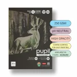 Anupam Pupil Watercolour Black Toned A3 SIZE Loose Sheets OF 5 - 250 GSM - Image 7