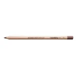 Lyra Rembrandt Artist Sketching Pencil Sepia Light Pastel Oil
