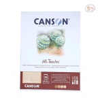 Canson Mi-Teintes 160 GSM Honeycomb Grain 24 x 32 CM Drawing & Pastel Paper Glued Pad (20 Sheets, Brown Tones)