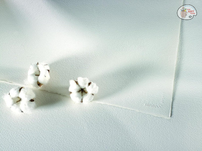 ARCHES WATERCOLOR PAPER - 850gsm - NATURAL WHITE COLD PRESSED - 56 X 76cm - 5 SHEETS