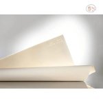 ARCHES VELIN RIVES EXTRA WHITE COLD PRESSED - 16 SHEETS - 4 CUT EDGES - Image 3